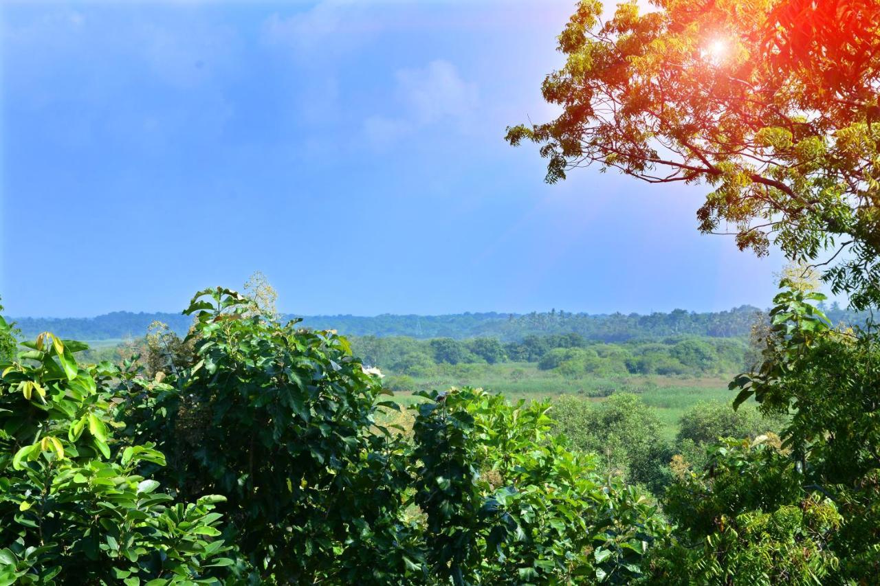 Randu Homestay And Restaurant Tangalle Luaran gambar