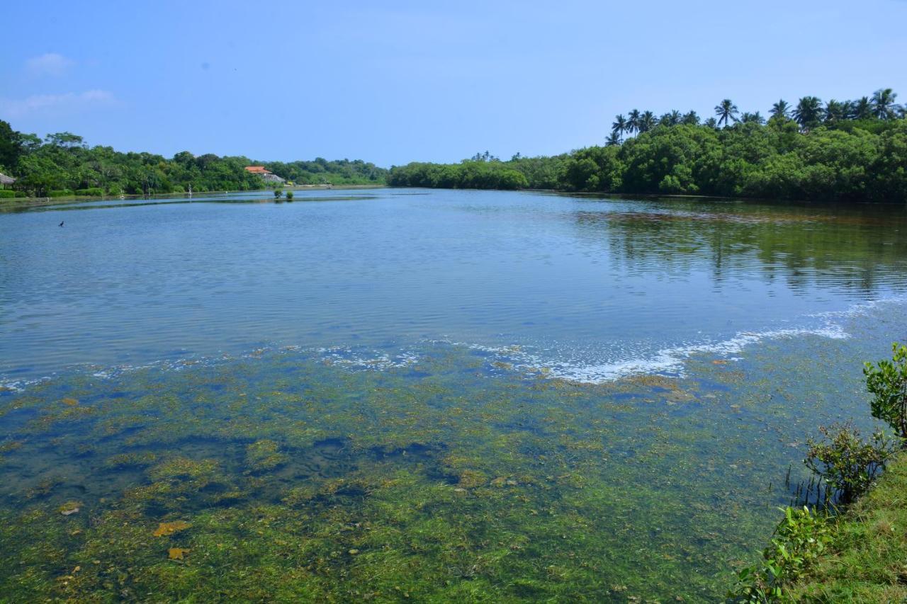 Randu Homestay And Restaurant Tangalle Luaran gambar